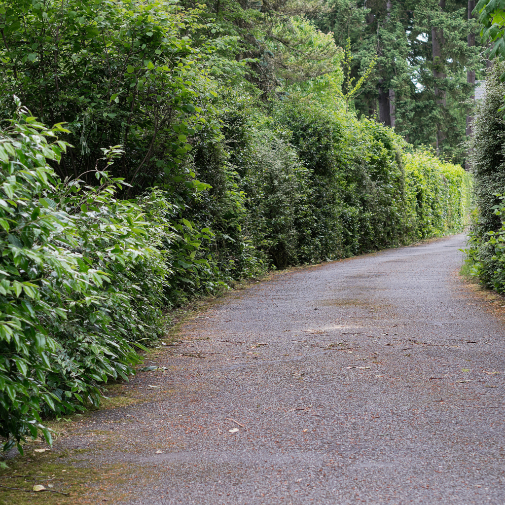 Quality Tarmaced Driveway by WCD Willaston driveway company